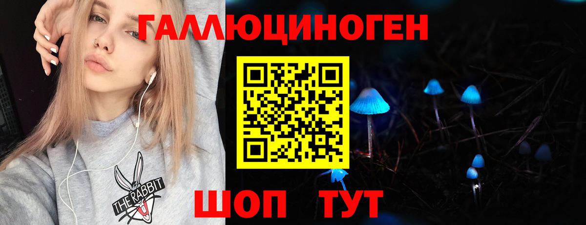 купить   Псилоцибиновые грибы мицелий  Галлюциногенные грибы Cubensis  Вход с VPN  Белебей 